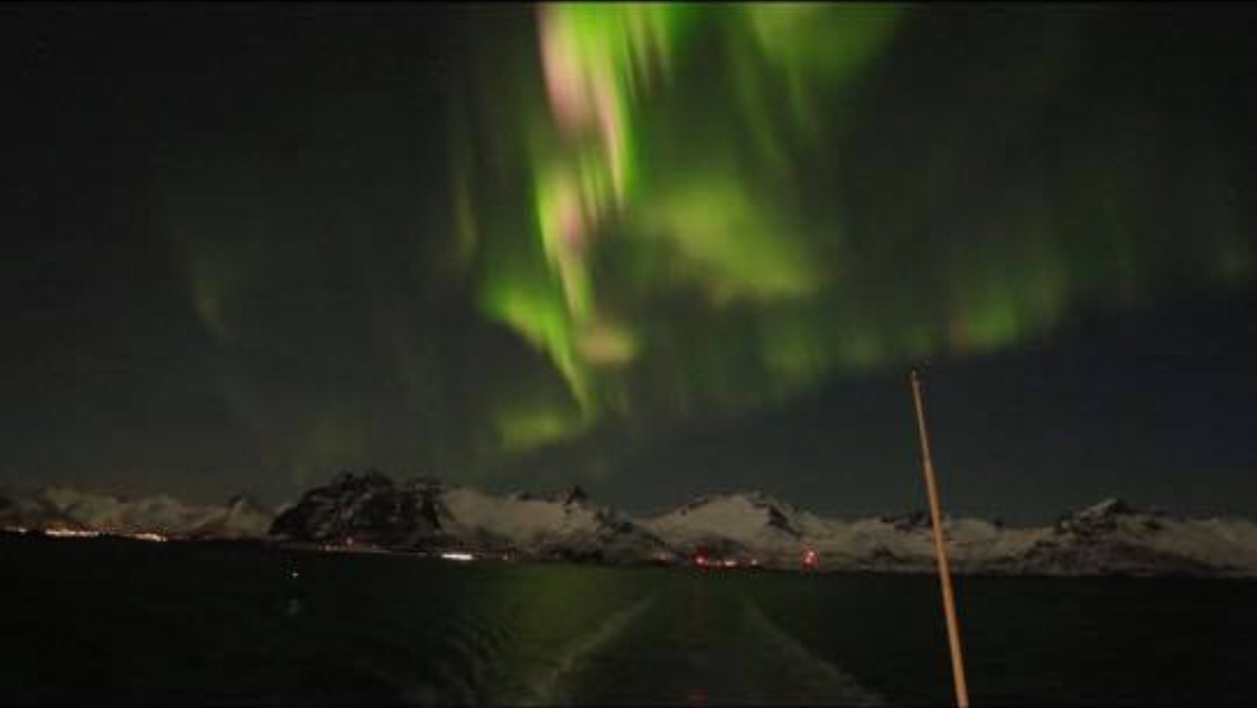 Northern Lights, Arctic, Hurtigruten, cruise, Norway