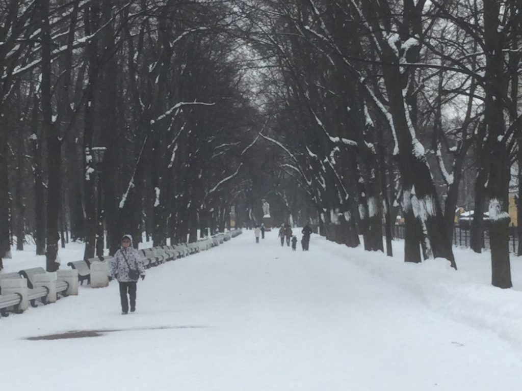 Winter, St Petersburg, park,