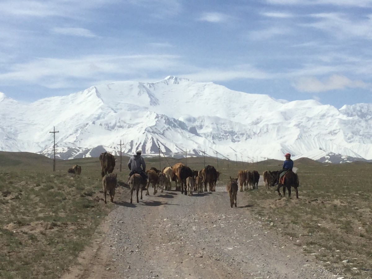 Lenin Peak trek, Kyrgyzstan, Alay valley, CBT Sary Mogol