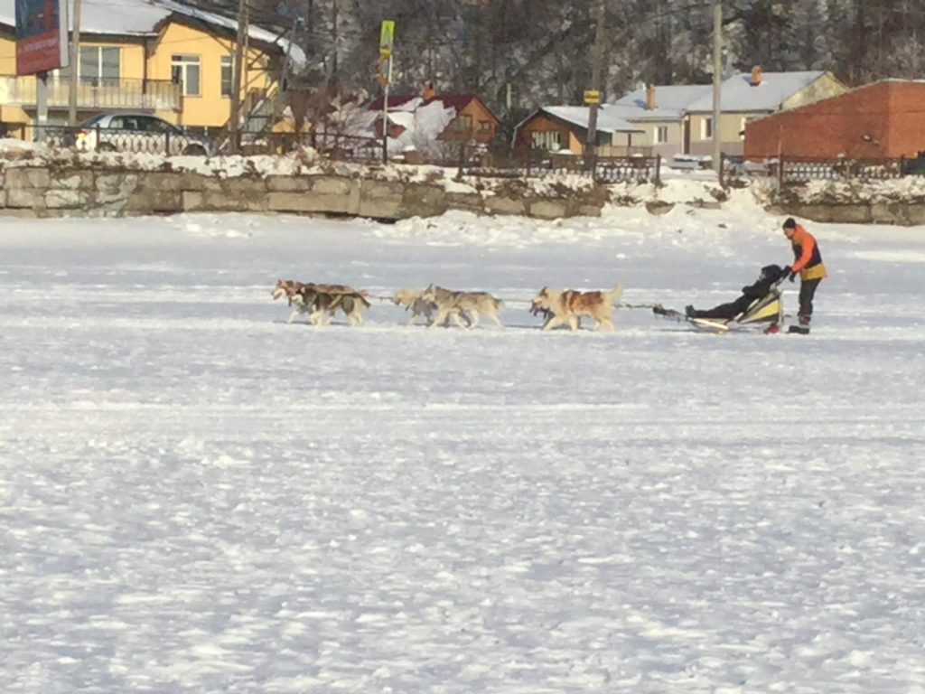 dog sledding, lake Baikal, Siberia, Russian winter,