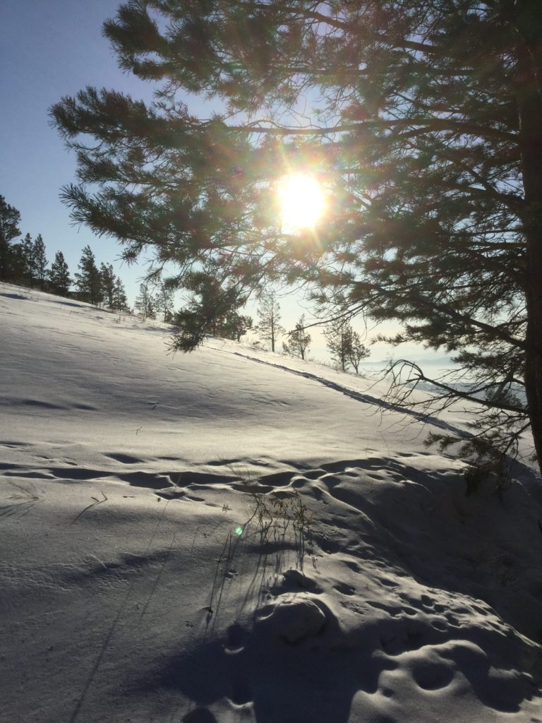 Siberia, winter scene, Trans-Siberian