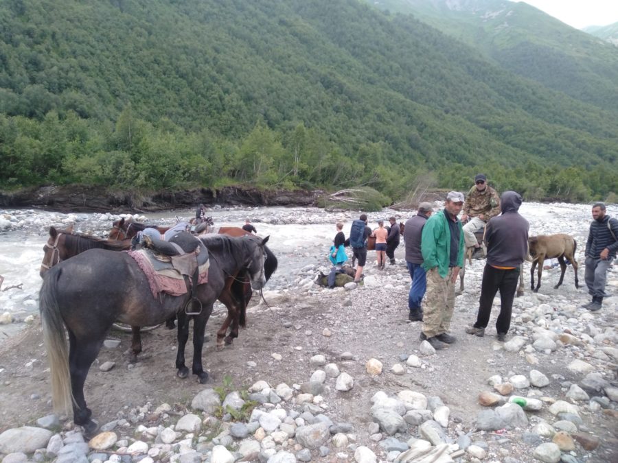 Horses, river crossing, Adishchala river,
