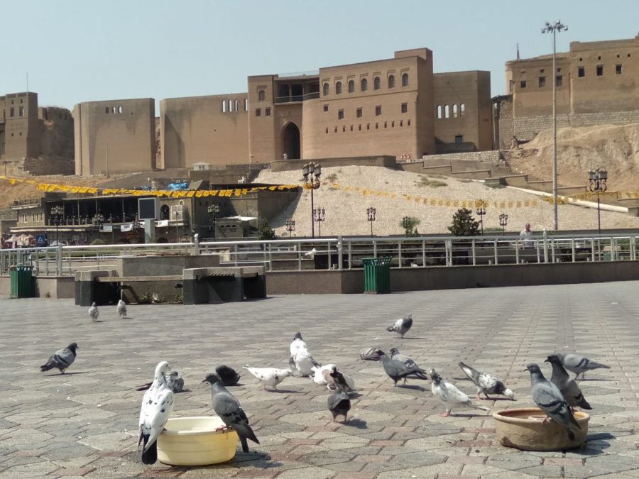 Erbil citadel