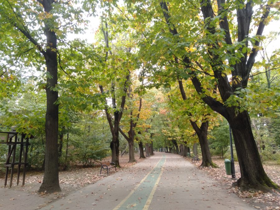 Herastrau Park, Mihai 1st park