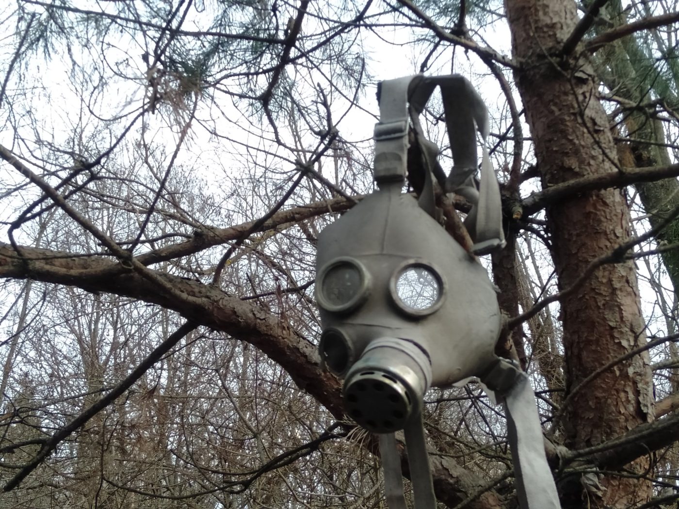 Gas mask, Red forest edge, Chernobyl exclusion zone