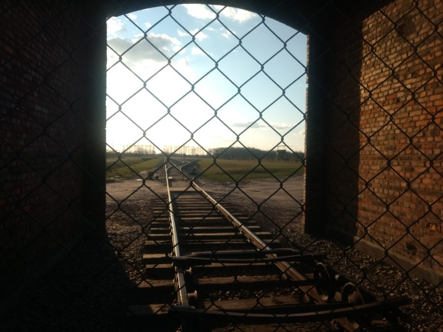 Train tracks leading into Birkenau