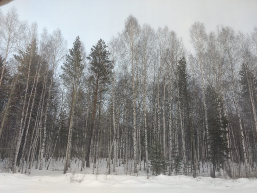 Trans Siberian winter scenes